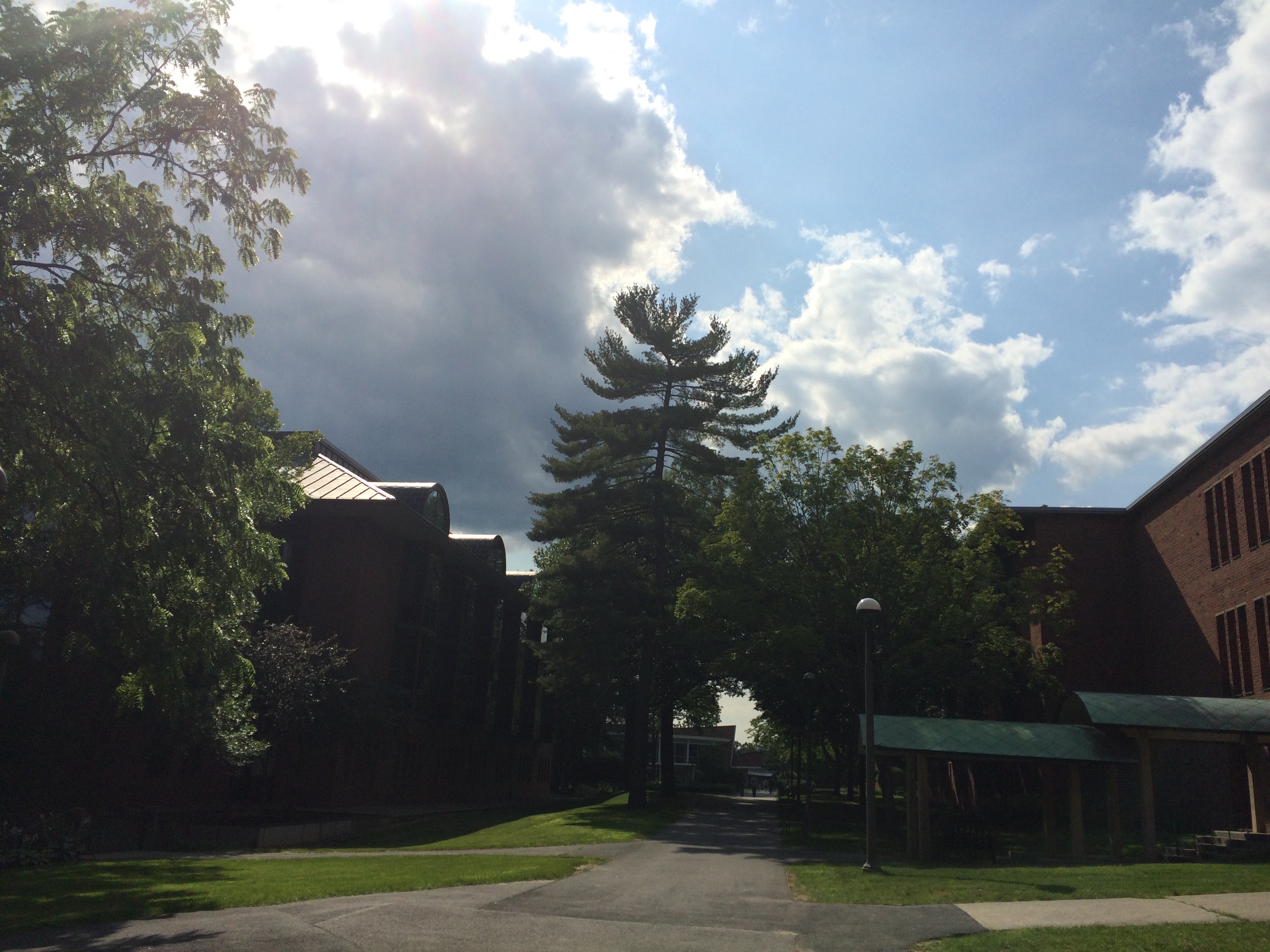 image10
