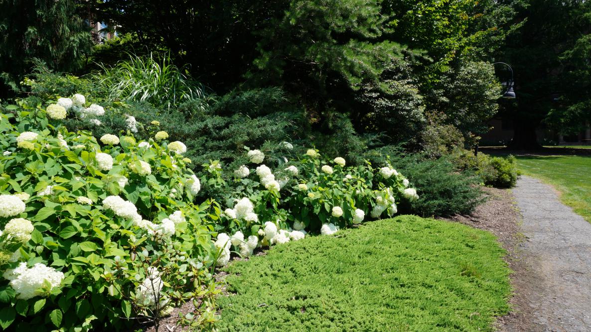 image6